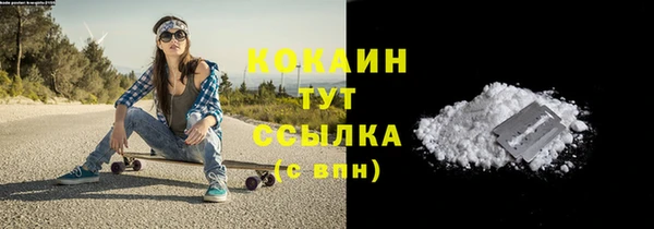 дмт Осташков