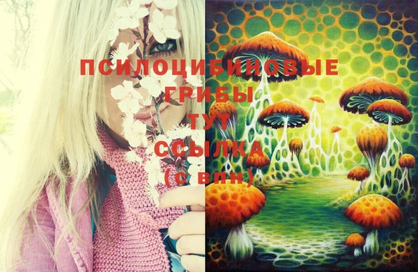 метадон Осинники