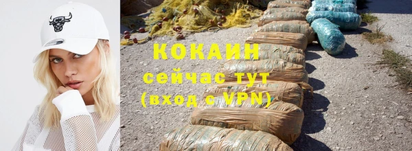 дмт Осташков