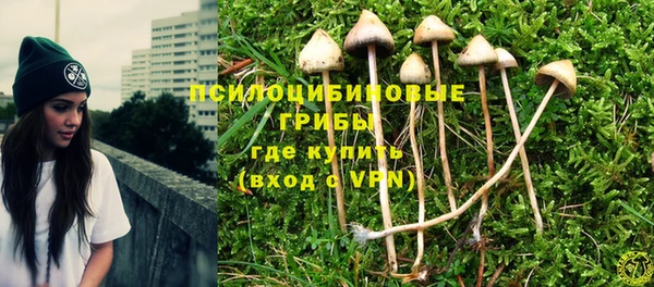 метадон Осинники
