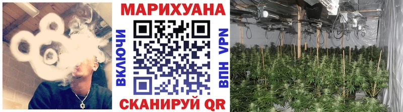 Бошки Шишки семена Инта